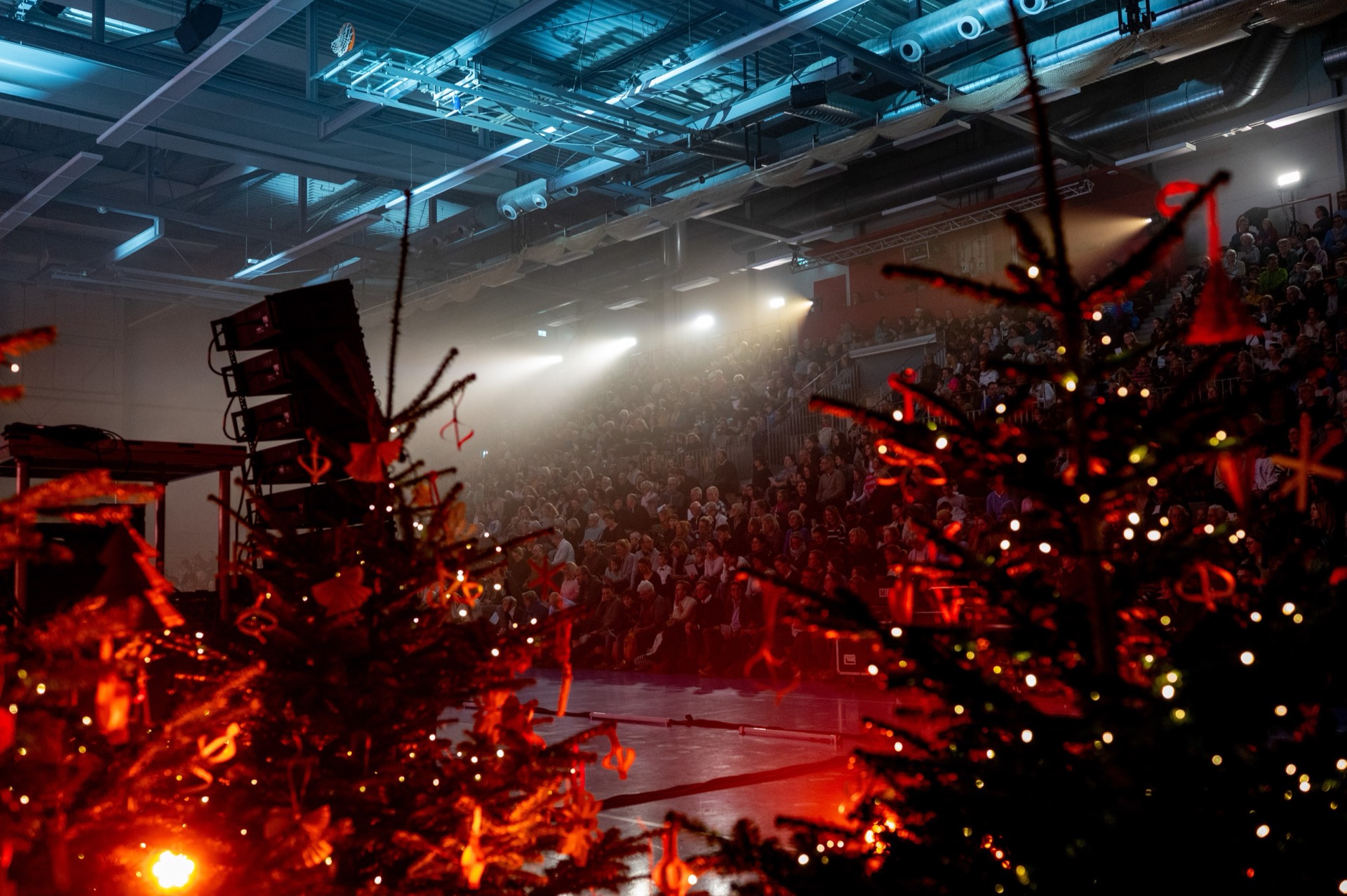 Festliche Halle mit Tannenbäumen