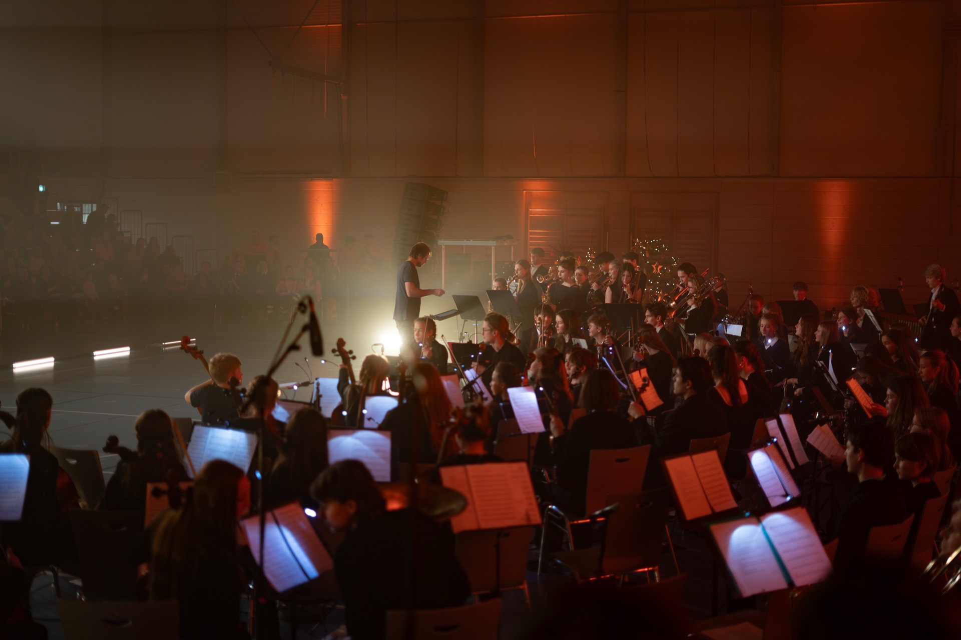 Halle im Lichtermeer